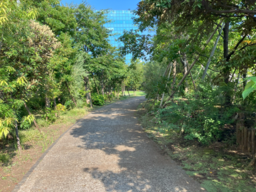 地域の生態系に合う植栽